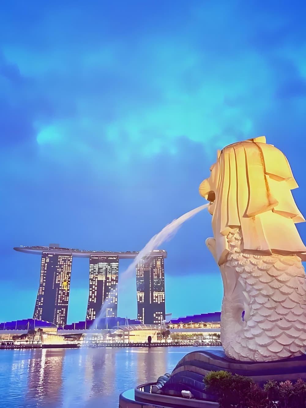 Automated container terminal in Asia